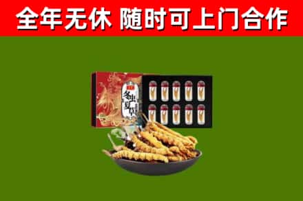 襄樊回收冬虫夏草价格